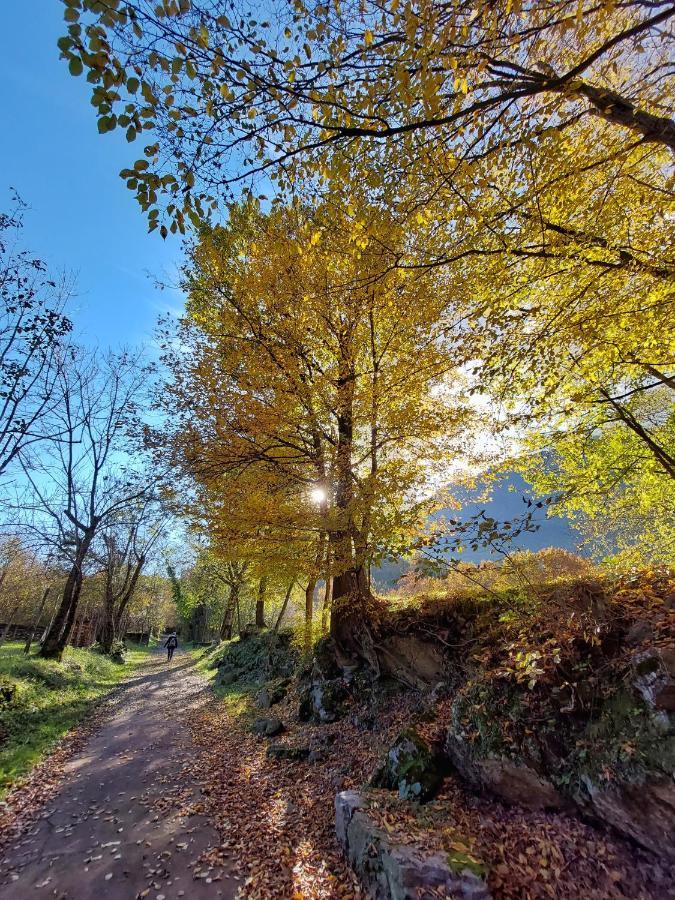 Villaggio Turistico Il Lago Dorato Carlazzo Exterior foto